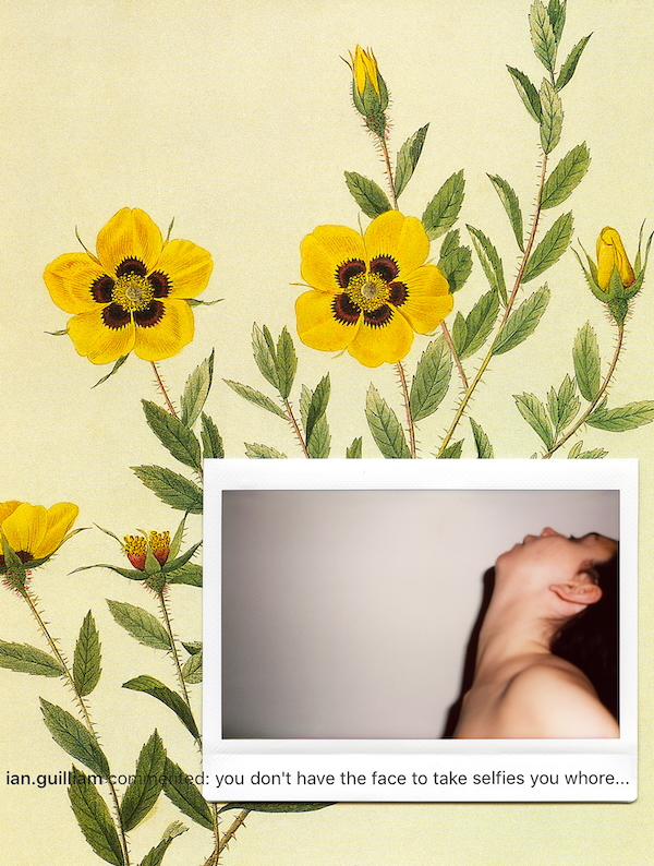 A drawing of yellow flowers with a Polaroid photograph of someone baring their neck and the text "ian.guilliam commented: you don't have the face to take selfies you whore".
