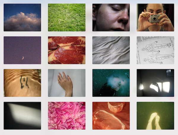 A four-by-four grid of sixteen different colour photographs, many referencing the body in some way