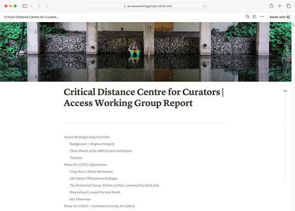A screenshot of Critical Distance Centre for Curators' Access Working Group report. It includes an photograph from an artwork mentioned in the report and the first part of the table of contents.