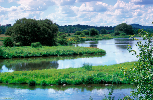 Landscape photo of the Grand River
