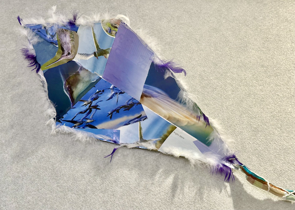 A photograph of a kite made with collaged images of birds in the blue sky.